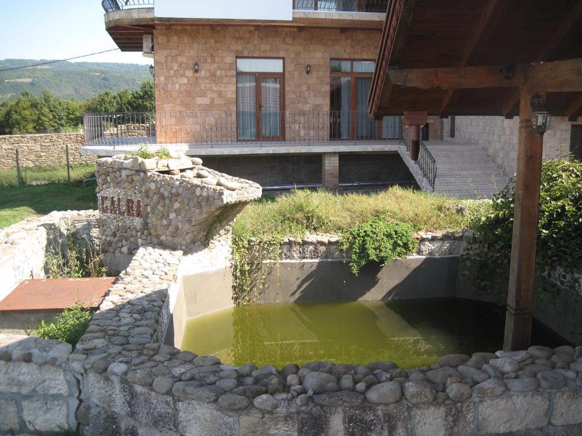 Guest House Galba Bruchkovtsi Экстерьер фото